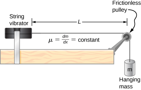 A thick uniform rope of length L is hanging from a rigid support. A  transverse wave of wavelength lambda _0 is up the middle of rope as shown  figure. The wavelength of