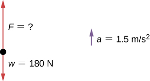 Figure shows a free-body diagram with vector w equal to 180 newtons pointing downwards and vector F of unknown magnitude pointing upwards. Acceleration a is equal to 1.5 meters per second squared.