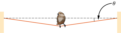 Figure shows a bird sitting on a wire that is fixed at both ends. The wire sags with its weight, forming an angle theta with the horizontal on either side.