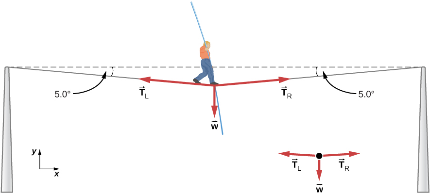Figure shows a man at the centre of a tightrope which is supported by two poles. The rope sags under his weight and makes an angle of 5 degrees with the horizontal at each pole. Arrows labeled TL and TR point roughly to the left and right respectively and are parallel to the rope. Arrow labeled w points straight down from the man. These three arrows are also shown in a free body diagram.