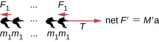 Figure shows a team of people each with mass m1 pulling on a rope towards the left with force F1. An arrow parallel to the rope, pointing right is labeled T. Net F prime is equal to M prime a.