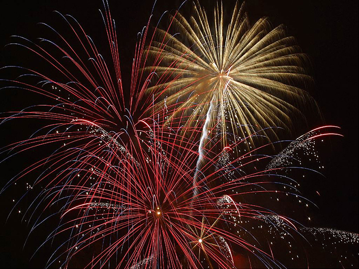 Photograph of multi-colored fireworks of varying size exploding in the sky.