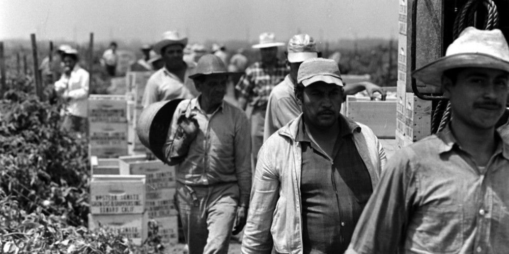 A line of farm workers.