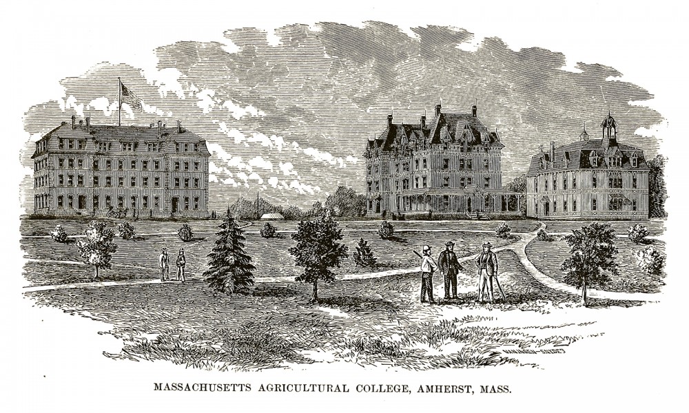 A few people standing on the grounds of Massachusetts Agricultural College.