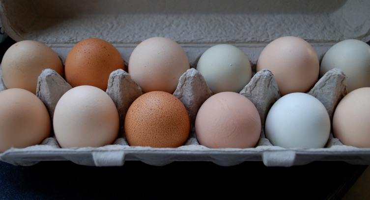 A carton of a dozen eggs in various shades of white and brown.