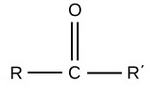 an oxygen double bonded to a carbon in the middle of a hydrocarbon chain