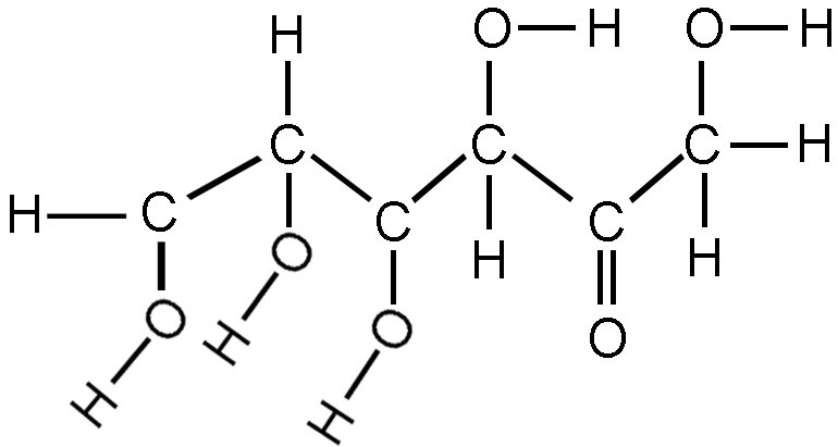 A diagram of fructose. An organic molecule with a six carbon molecules in its carbon backbone. The first carbon is bound to a Hydrogen on its left and bound to an oxygen, which is bound to a hydrogen at its bottom. The second carbon is bound to a Hydrogen on its top and bound to an oxygen, which is bound to a hydrogen at its bottom. The third carbon is bound to an oxygen, which is bound to a hydrogen at its bottom. The fourth carbon is bound to an oxygen, which is bound to a hydrogen at its top and bound to a hydrogen on on its bottom. The fifth carbon is double bound to an oxygen atom at its bottom. The sixth carbon is bound to a hydrogen atom at its bottom, is bound to a hydrogen atom on its right, and is bound to an oxygen, which is bound to a hydrogen at its top.