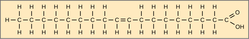 The structure of oleic acid is shown. This fatty acid has a hydrocarbon chain seventeen residues long attached to an acetyl group. The bond between carbon eight and carbon nine is a double bond.