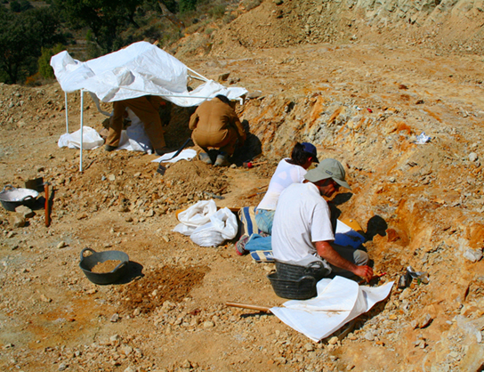 People sitting in the dirt with digging tools.