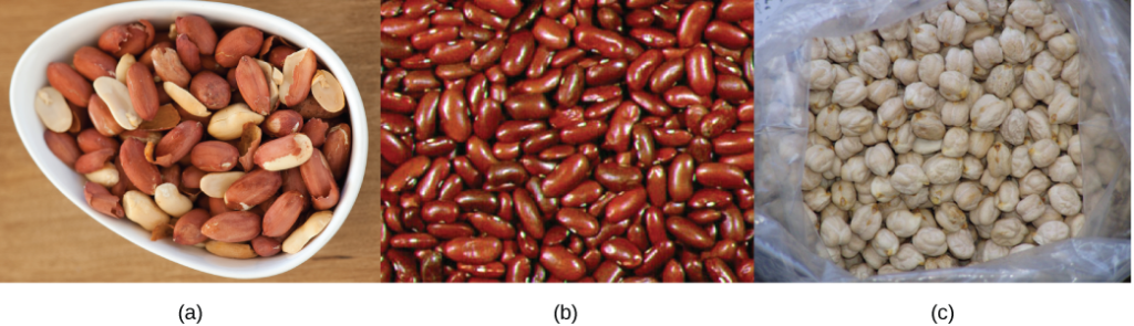  Top photo shows a bowl of shelled peanuts. Middle photo shows red kidney beans. Bottom photo shows white, bumpy, round chickpeas.