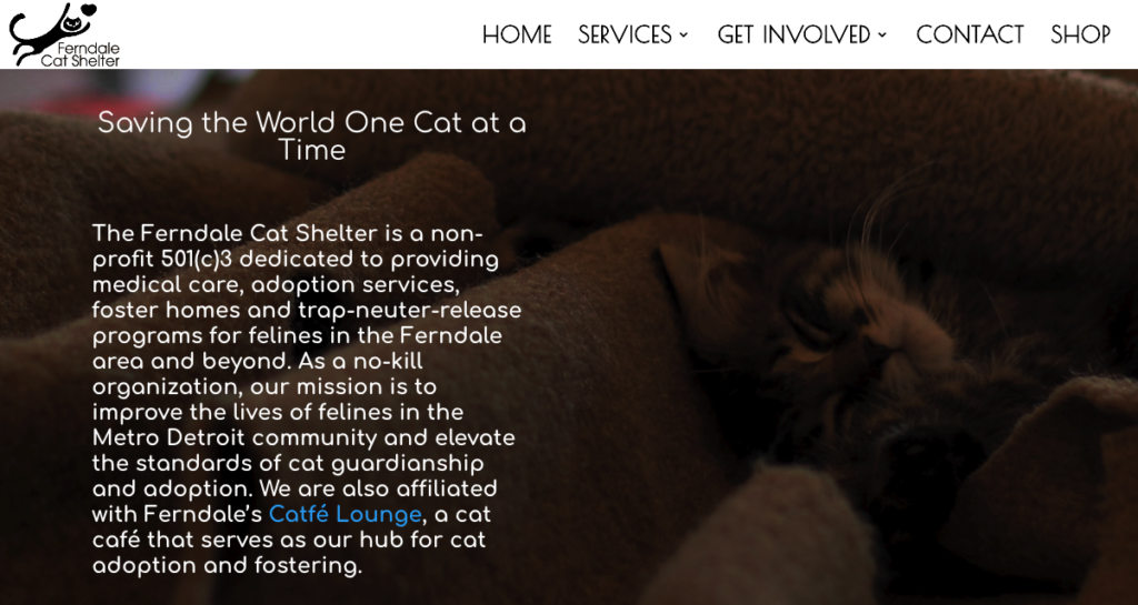 Screenshot of Ferndale Cat Shelter's website homepage. The title reads, 