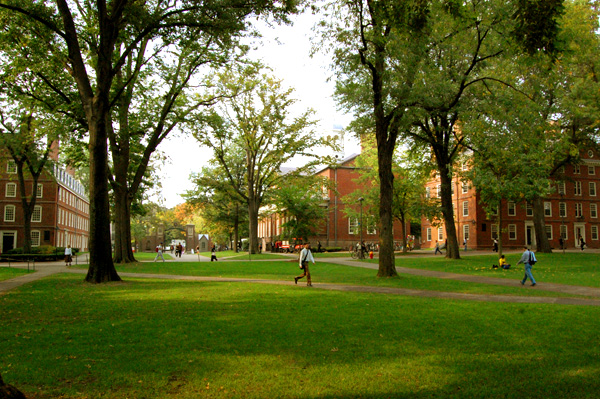 Harvard campus with green lawns, trees, and brick buildings