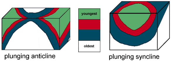 Diagrams of a plunging anticline and syncline.