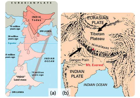 The Himalaya Mountains rise as India rams into Eurasia