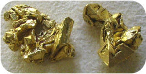 Figure 2. This mineral is shiny, very soft, heavy, and gold in color, and is actually gold.