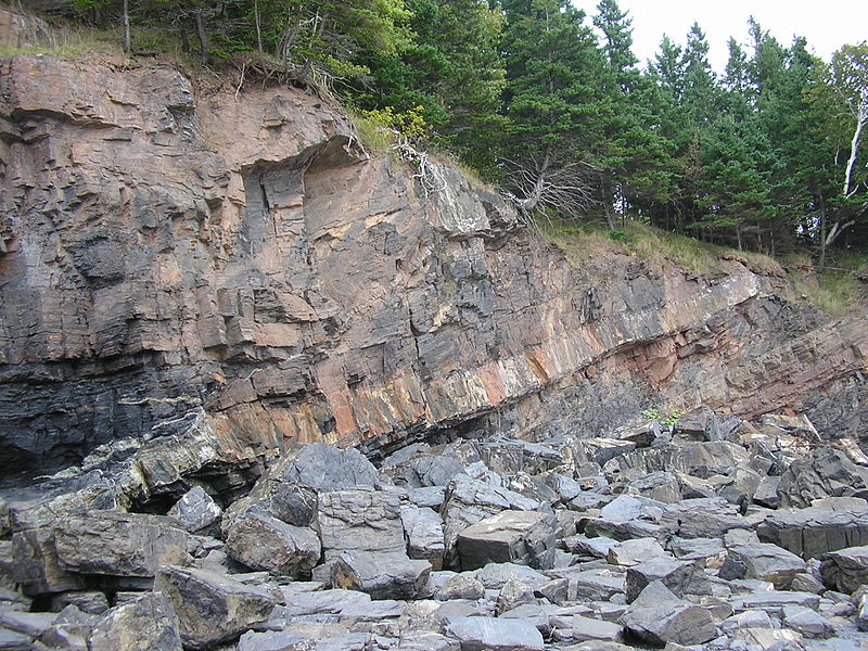 Dolerite (diabase) sill of Mid-Carboniferous age cutting shales and sandstones of the Lower Carboniferous Horton Group, Horton Bluff, near Cheverie, Minas Basin South Shore, Nova Scotia, Canada. The sill is the more resistant band.