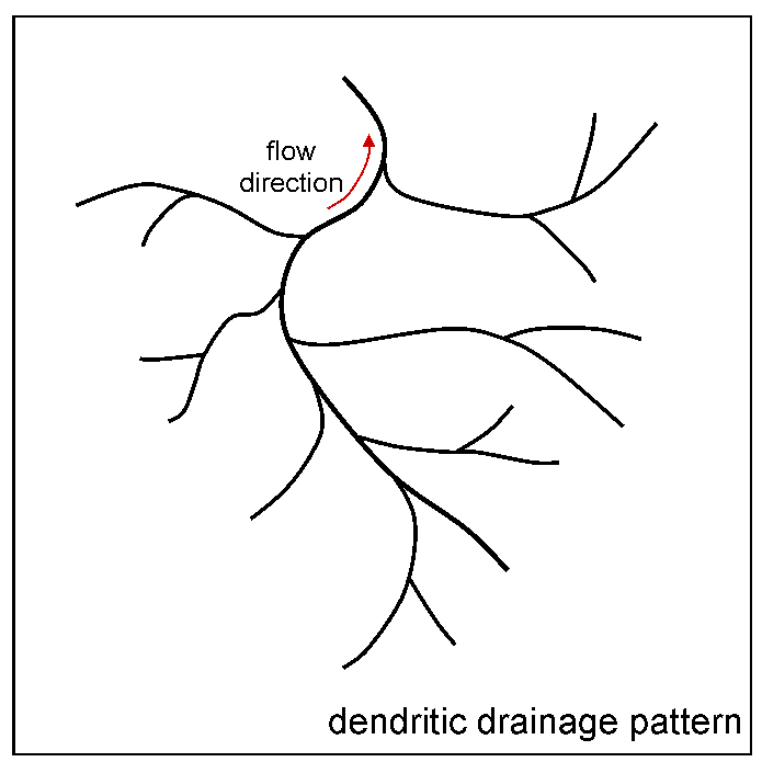 Diagram of the drainage pattern described above. The drainage pattern splits off into multiple sections, forming a natural looking pattern.