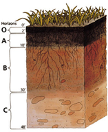 Diagram of a soil profile showing the different colored layers