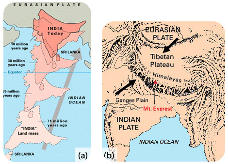 As the Indian plate (with the Indian land mass) has moved northeast over the past 71 million years, eventually the Indian land mass collided with the land on the Eurasian plate and this collision created the himalayas. 