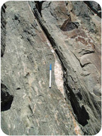 A rock with long, thin veins