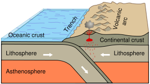 Subduction of an oceanic plate beneath a continental plate causes earthquakes and forms a line of volcanoes known as a continental arc.