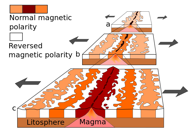 A theoretical model of the formation of magnetic striping. New oceanic crust forming continuously at the crest of the mid-ocean ridge cools and becomes increasingly older as it moves away from the ridge crest with seafloor spreading: a. the spreading ridge about 5 million years ago. b. about 2 to 3 million years ago. c. present-day