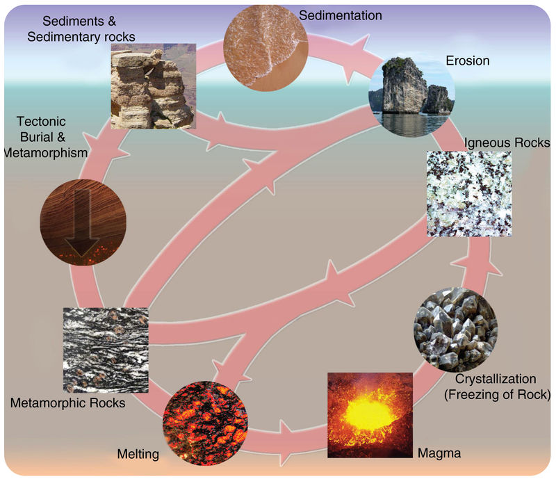 Representation of the rock cycle in a rough circle. Metamorphic rocks lead to erosion or melting. Melting leads to magma, which leads to crystallization (freezing of rock), which leads to igneous rocks. Igneous rocks lead to metamorphic rocks, melting, or to erosion. Erosion leads to sedimentation, which leads to sediments and sedimentary rocks. Sedimentary rocks leads to erosion or tectonic burial and metamorphism. Tectonic burial and metamorphism leads to metamorphic rocks.