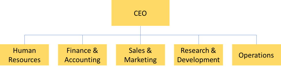 Organizational chart with the CEO at the top and then different departments in the level below
