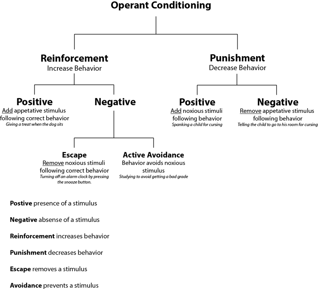 A tree chart showing operant conditioning at the top, with two children: reinforcement and punishment. Under reinforcement are positive and negative. Negative is split into escape and active avoidance. Under punishment are positive and negative.