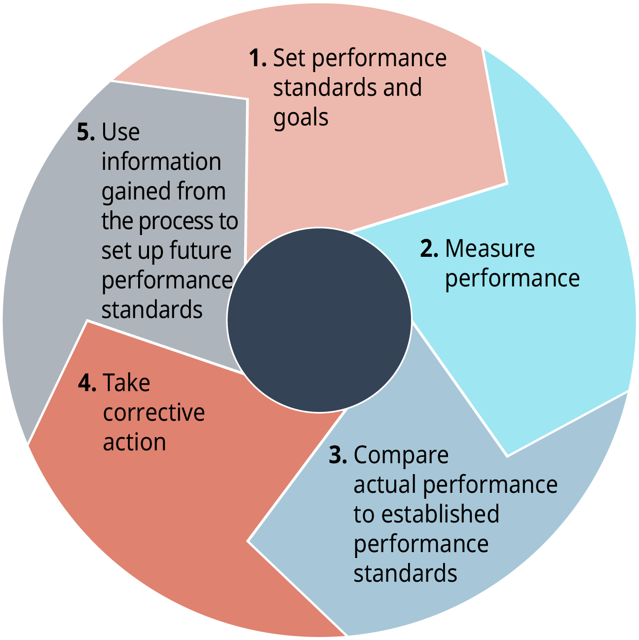 Each stage flows into the next. Stage 1 says, set performance standards and goals. Stage 2 says, measure performance. Stage 3 says, compare actual performance to established performance standards. Stage 4 says, take corrective action. Stage 5 says, use information gained from the process to set up future performance standards.