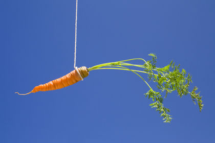 Photo of a carrot hanging from a string against blue background. Photo caption is 
