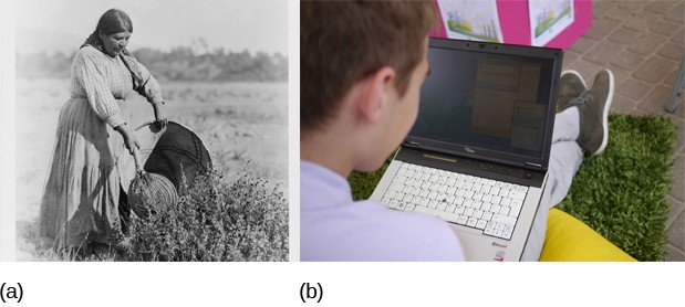This figure consists of two photographs side by side. The image on the left is a vintage photograph of a woman collecting seeds in a field. The photo on the right is of a young boy sitting and looking at his laptop.