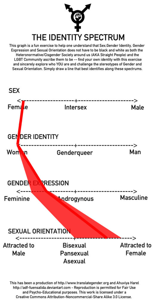 Identity spectrum showing a continuum between female and male for sex, another continuum for gender identity between woman and man, a continuum for gender expression, and another continuum for sexual orientation.