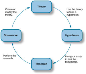 flowchart showing that a theory is used to form a hypothesis, the hypothesis leads to research, research leads to observation, which leads to the creation or modification of a theory, then back around.