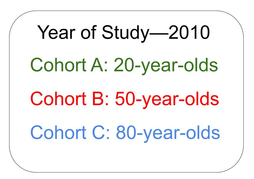 Text stating that the year of study is 2010 and an experiment looks at cohort A with 20 year olds, cohort B of 50 year olds and cohort C with 80 year olds