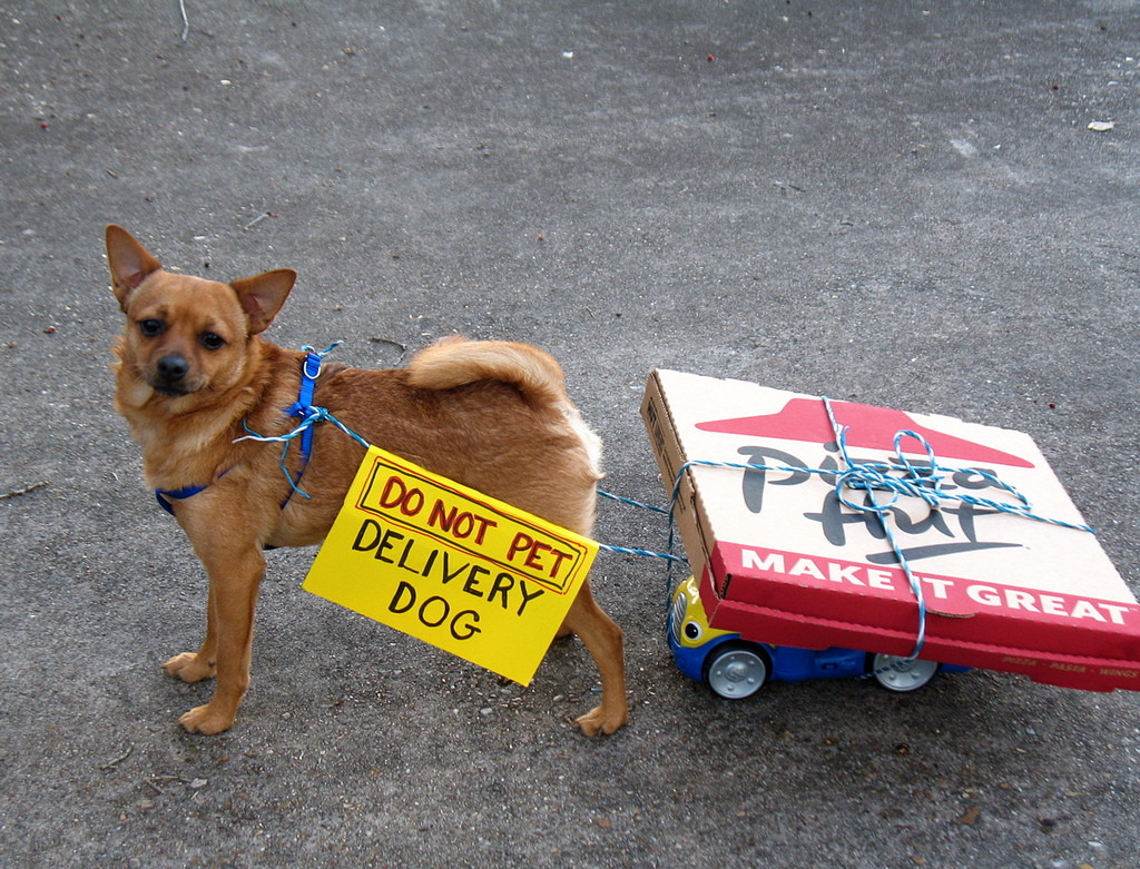Photo of a small dog pulling a wagon with two Pizza Hut boxes tied to it. The dog wears a sign that reads, 