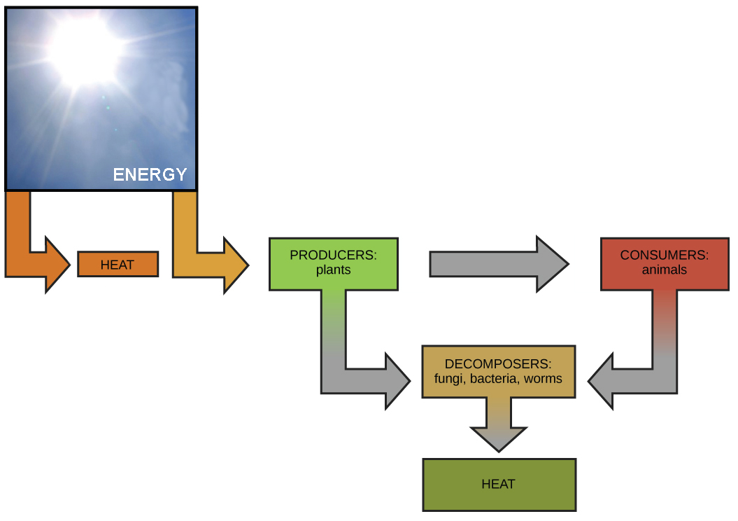 How Is Energy Transfer Measured In A Practical