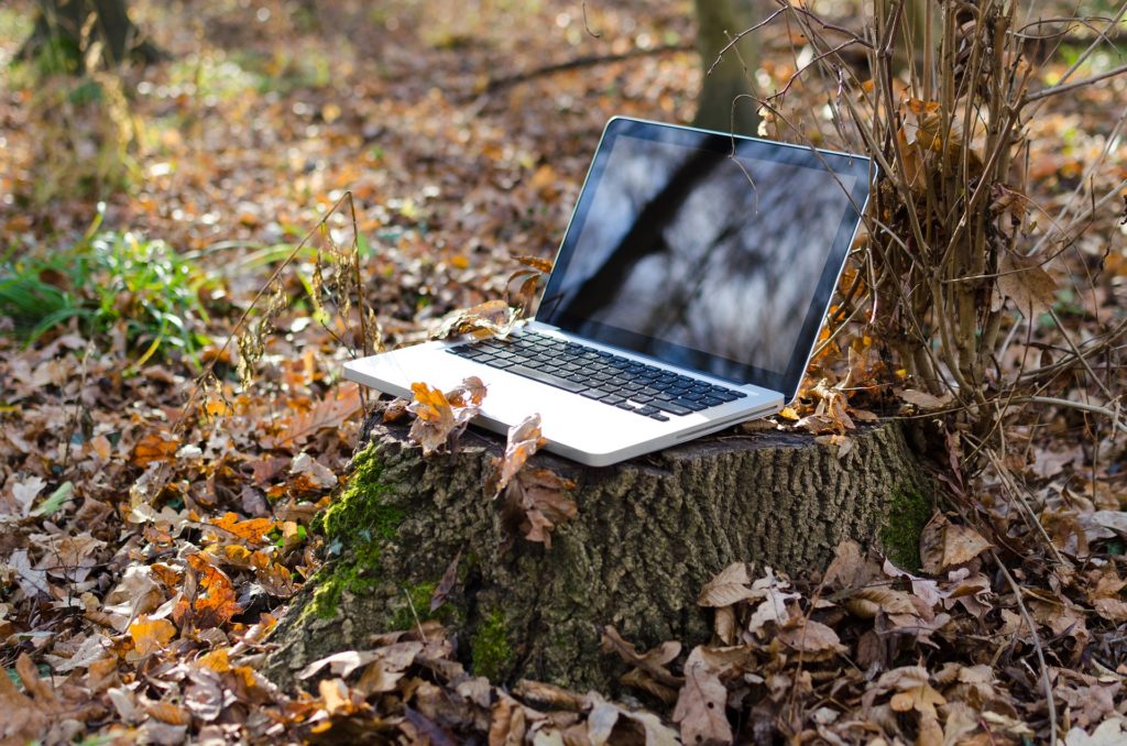 Photograph of a laptop sitting on a tree stump in the middle of the woods.