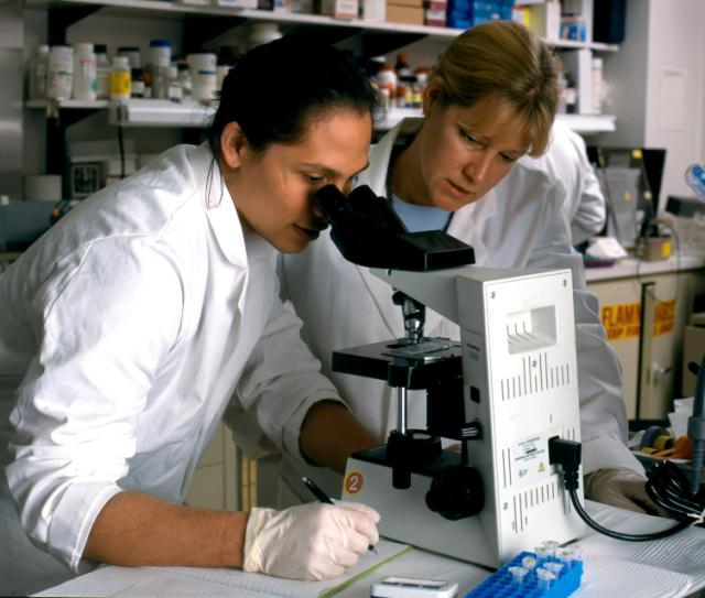 Photo of two scientists; one is looking through a microscope.