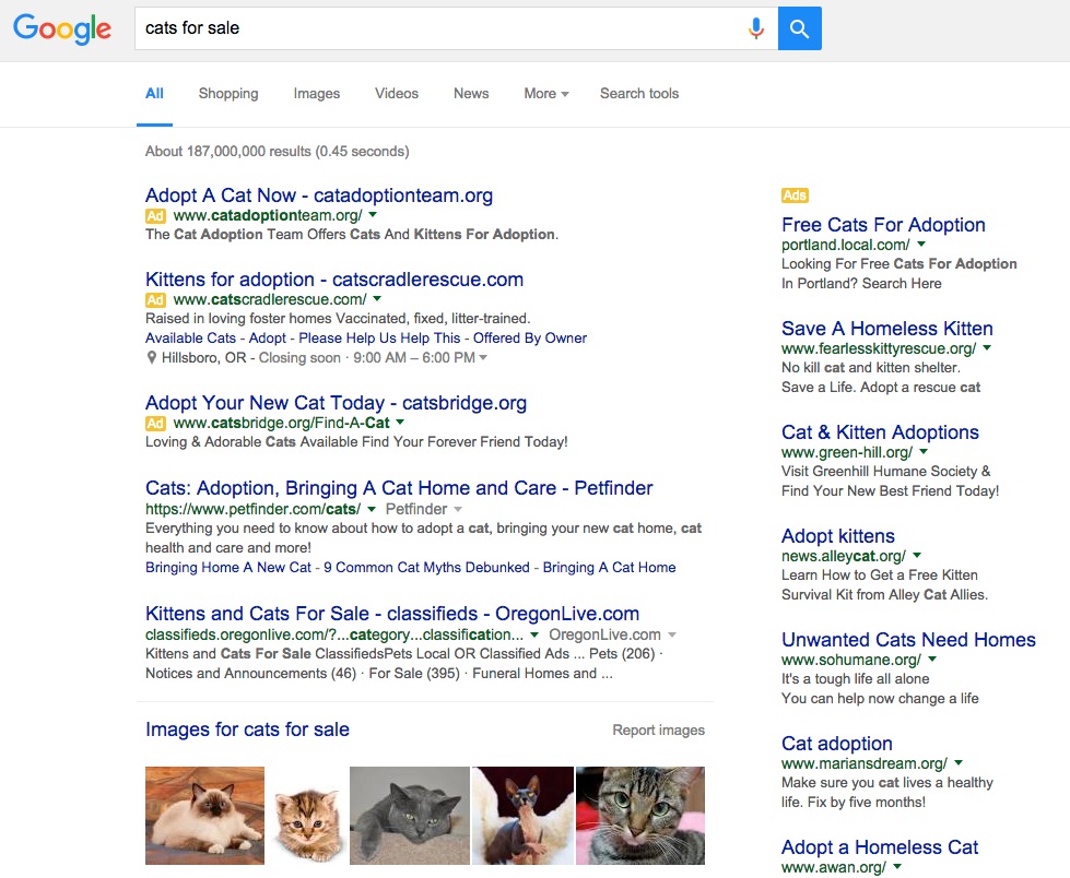 Screenshot of a Google search for the phrase 