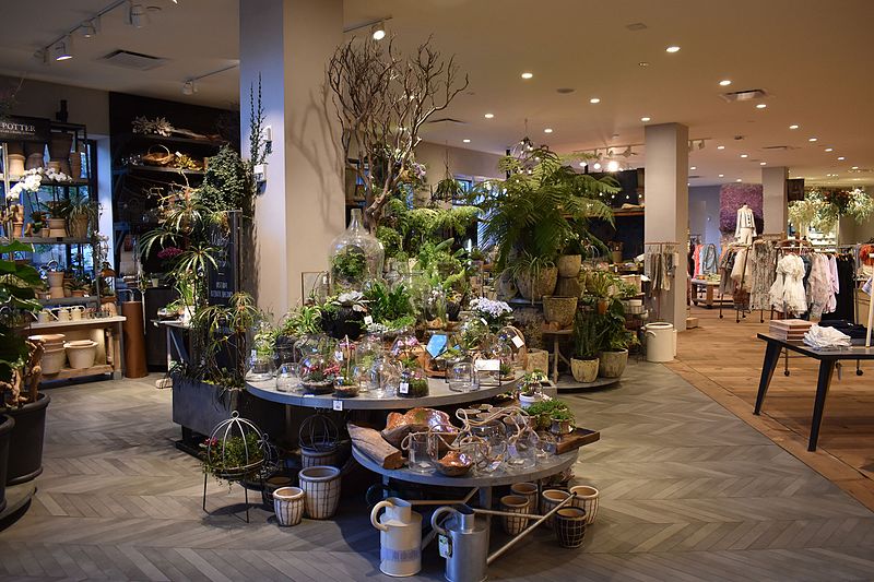 Photograph of an Anthroplogie store. The store displays plants and clothes. Each display is spread out across the store.