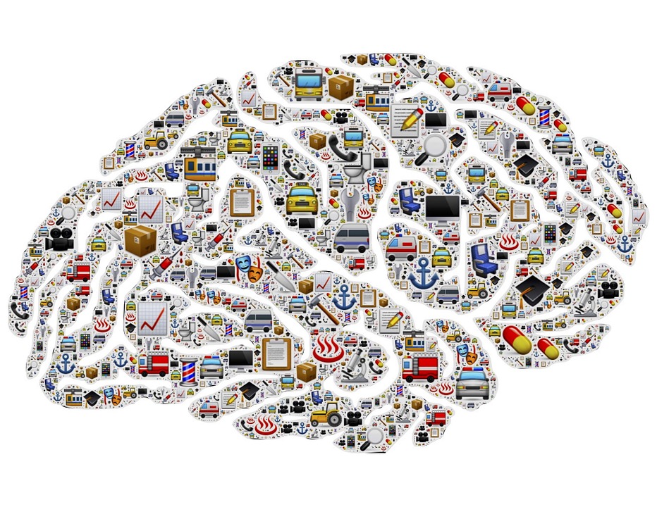 Images of clipart objects of things like cars and buildings inside the shape of a brain.