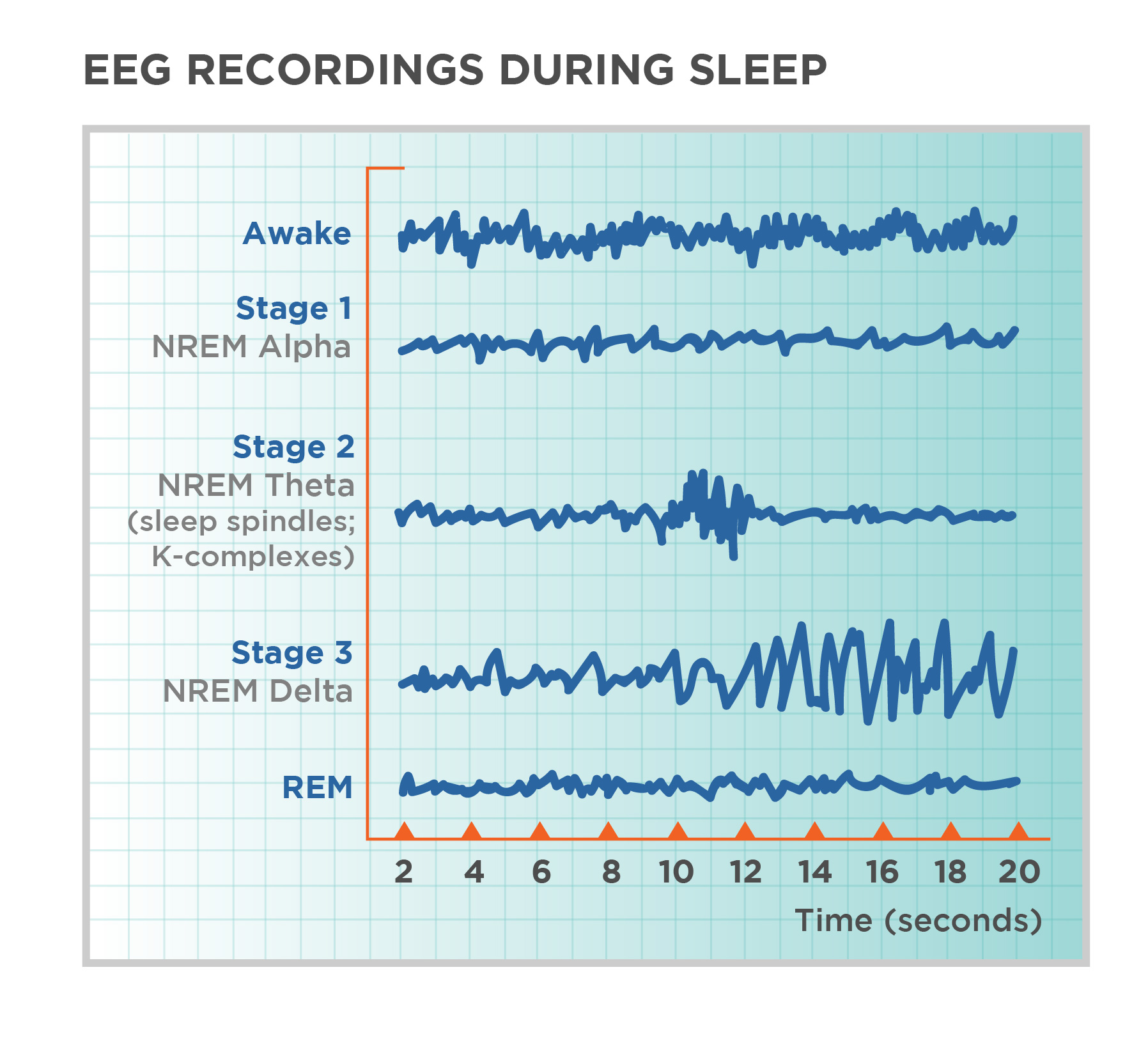 how-to-fall-asleep-quickly-even-if-you-have-sleep-problems-ezlift-bed