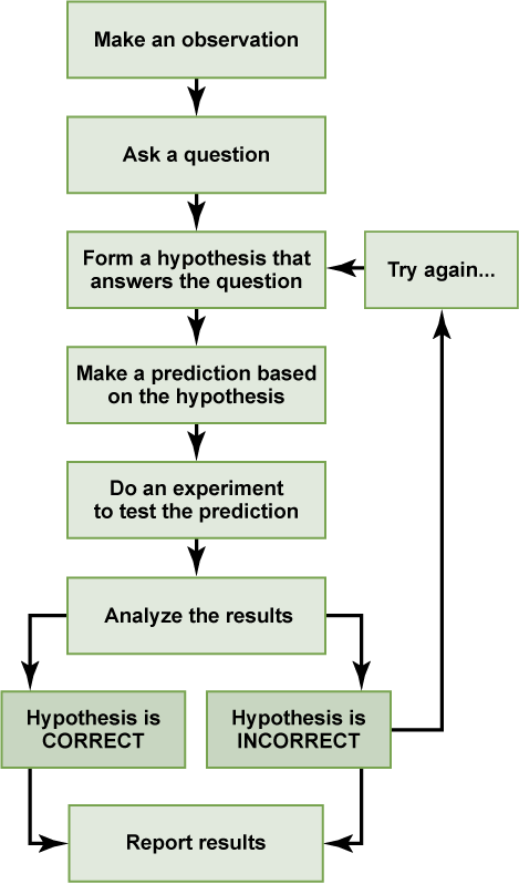 Flowchart of the scientific method. It begins with make an observation, then ask a question, form a hypothesis that answers the question, make a prediction based on the hypothesis, do an experiment to test the prediction, analyze the results, prove the hypothesis correct or incorrect, then report the results.