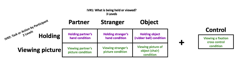 Image showing the possible conditions during the experiment. The girl either held the hand of her partner, of a stranger, or held an object, or looked at a picture of the partner, a stranger, or object.