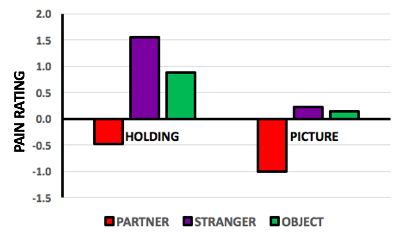 Actual results show that holding hands of a partner reduced pain by .5, but holding hands with a stranger increased it by 1.5 and holding an object increased to almost 1. Looking at a picture of a partner reduced pain by 1, looking at a picture of a stranger increased it by .25 and looking at an object increased pain by .1.