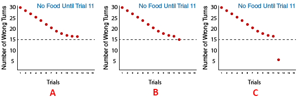 Three graphs depicting the options that the rats in the Group B: No Food until Trial 11 may choose for their 12th trial. Will they continue to make 16 wrong turns (graph A), will they improve and make 15 wrong turns (graph B), or will they improve dramatically and make just 5 wrong turns (graph C)?