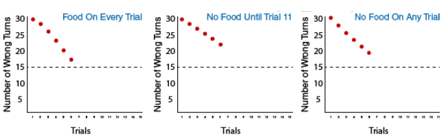 3 graphs depicting the three groups in Tolman's experiment: Group 1: food on every trial, Group 2: no food until trial 11, and Group 3: no food on any trial. Group one shows the number of wrong turns decreasing down to 16 by the sixth trial. Group two gets slightly better, with about 21 wrong turns, and Group 3 makes around 18 wrong turns.