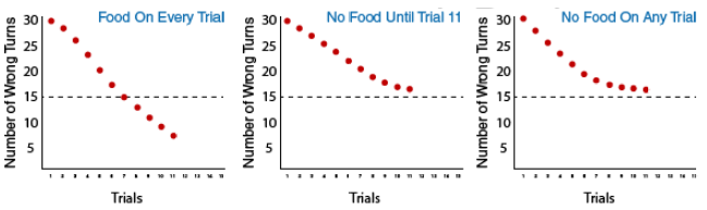 3 graphs depicting the three groups in Tolman's experiment: Group 1: food on every trial, Group 2: no food until trial 11, and Group 3: no food on any trial. This shows that on the 11th trial, group 1 makes 8 wrong turns, group 2 makes 16 wrong turns, and group 3 makes 16 wrong turns.