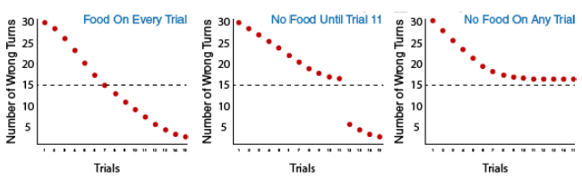 3 graphs depicting the three groups in Tolman's experiment: Group 1: food on every trial, Group 2: no food until trial 11, and Group 3: no food on any trial. Group one shows the number of wrong turns decreasing down to 16 by the sixth trial. Group two gets slightly better, with about 21 wrong turns, and Group 3 makes around 18 wrong turns. Group A and B improve to almost no wrong turns by trial 15, while group 3 continues to make 16 wrong turns.